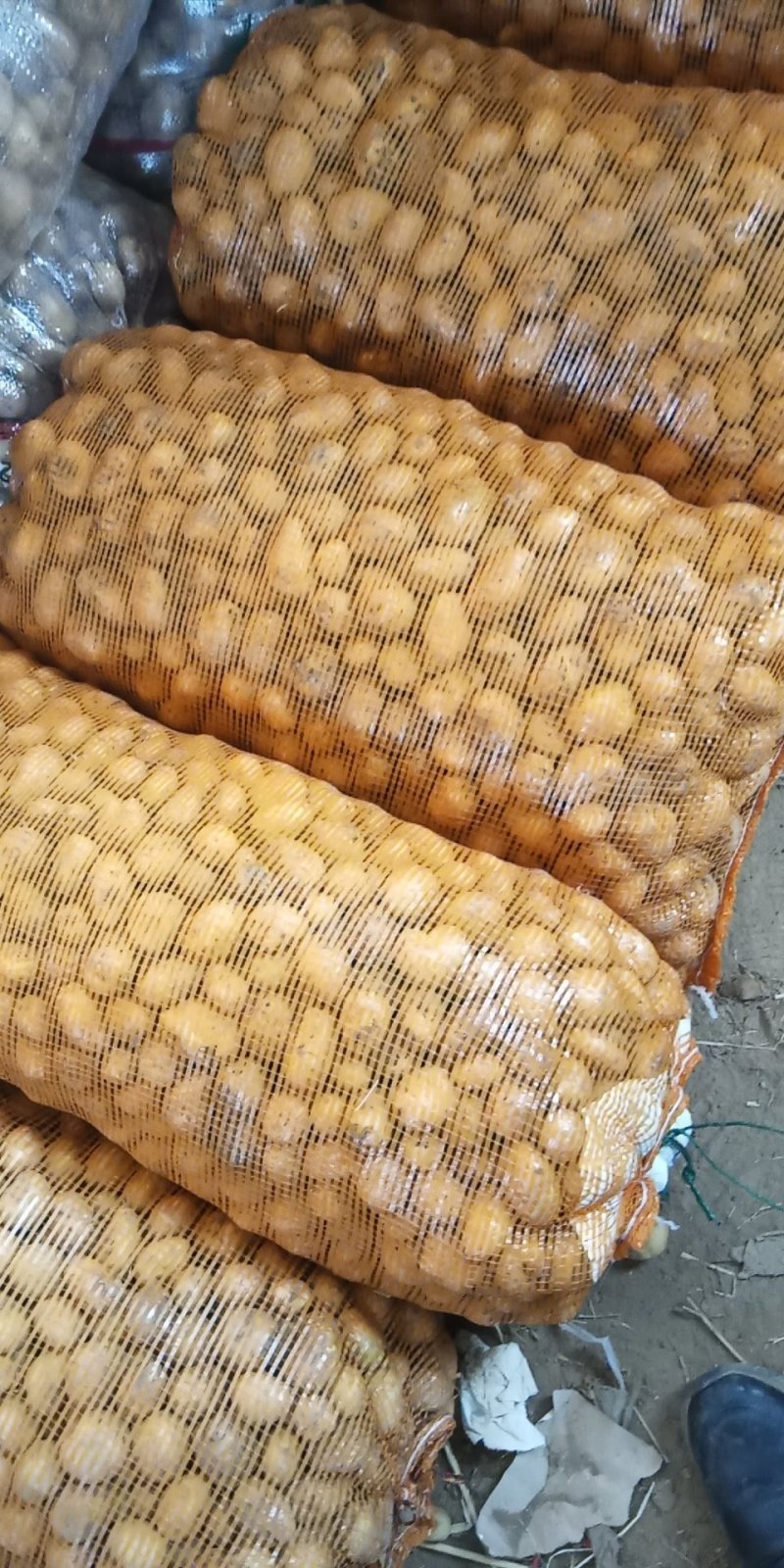 迷你土豆