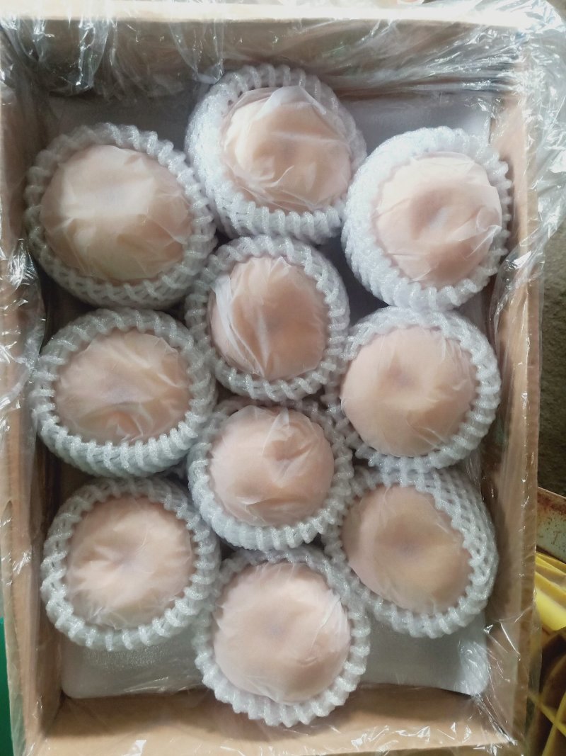 丰水梨