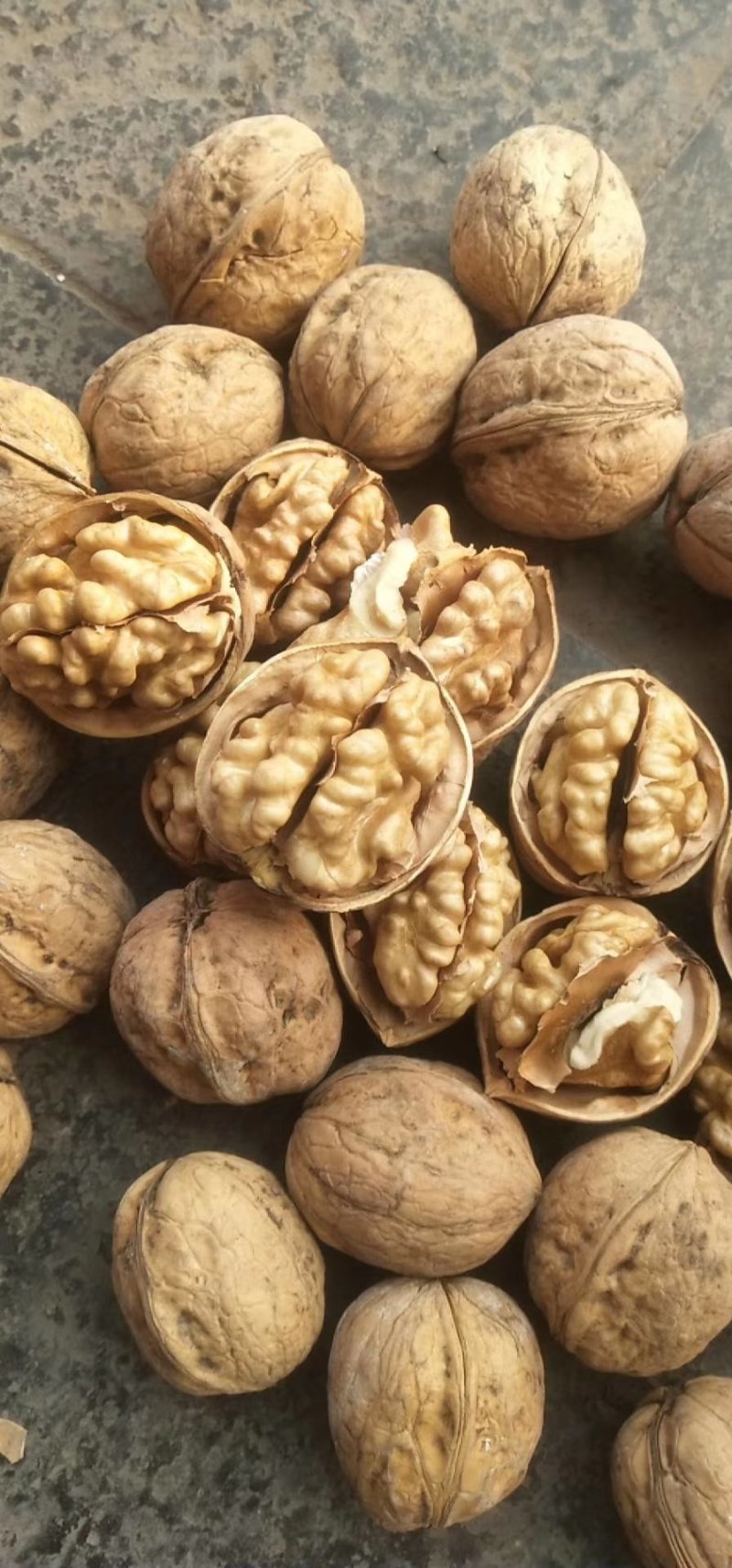 【年货节】新疆薄皮纸皮核桃礼盒一件代发。过年过节送礼佳品