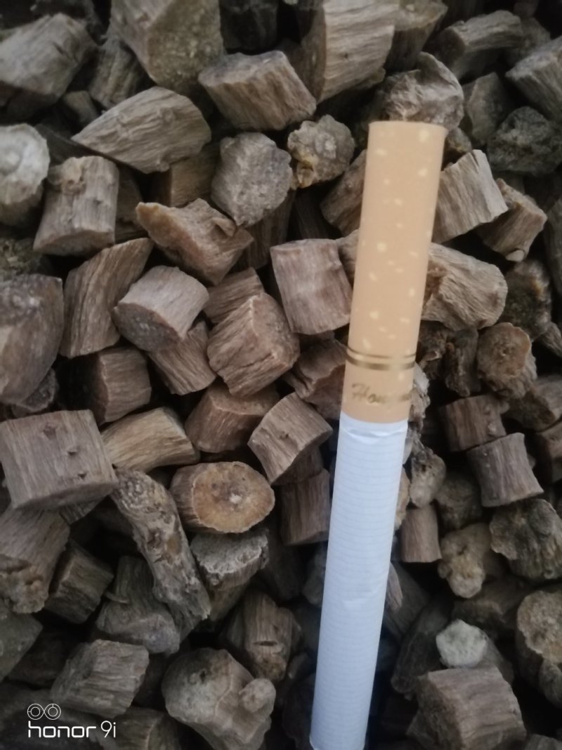 牛膝卒子