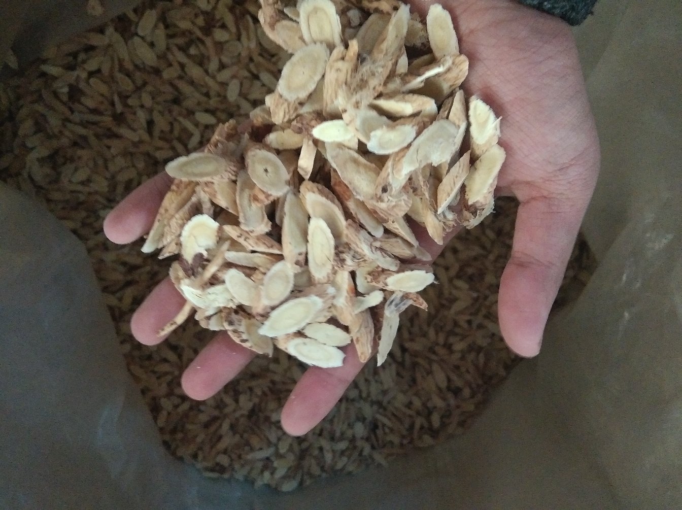 黄芪黄芩道地产区分布地图示意图