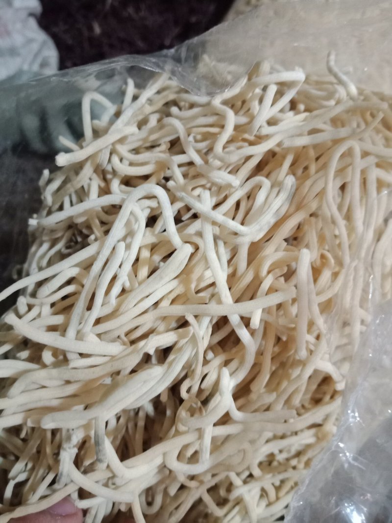 灯心草灯芯草中药材各种规格中药材批发零售