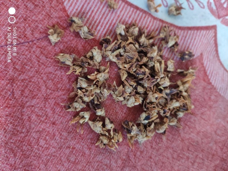 腊梅花梅花货好量大可批可零要多优惠