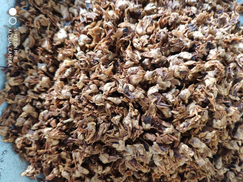 腊梅花梅花货好量大可批可零要多优惠
