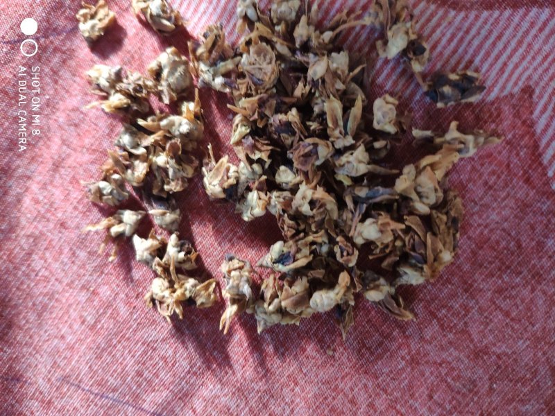 腊梅花梅花货好量大可批可零要多优惠