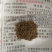 山东嘉实集团嘉实兔料母兔料308小兔料318