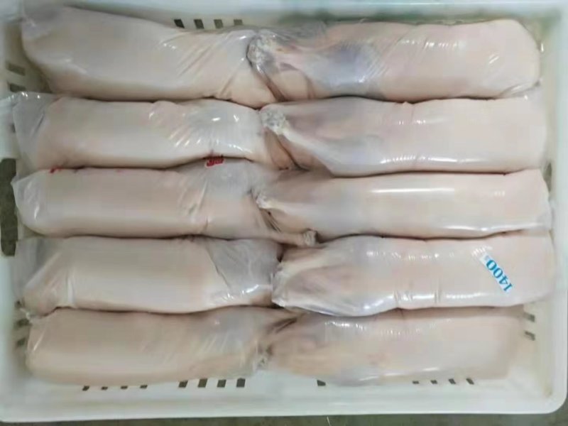 樱桃谷白条鸭