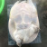 外塘生态老甲鱼七年以上口感好