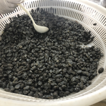 舟山新鲜罐装无沙泥螺350g一罐