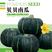 黑贝贝南瓜种子日本进口改良50粒厂家直销全国发货