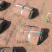 百亩草坪基地直销四季青果岭草马尼拉各种草皮