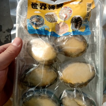 【渊品水产】养马岛天然生鲜冷冻真空包装鲍鱼