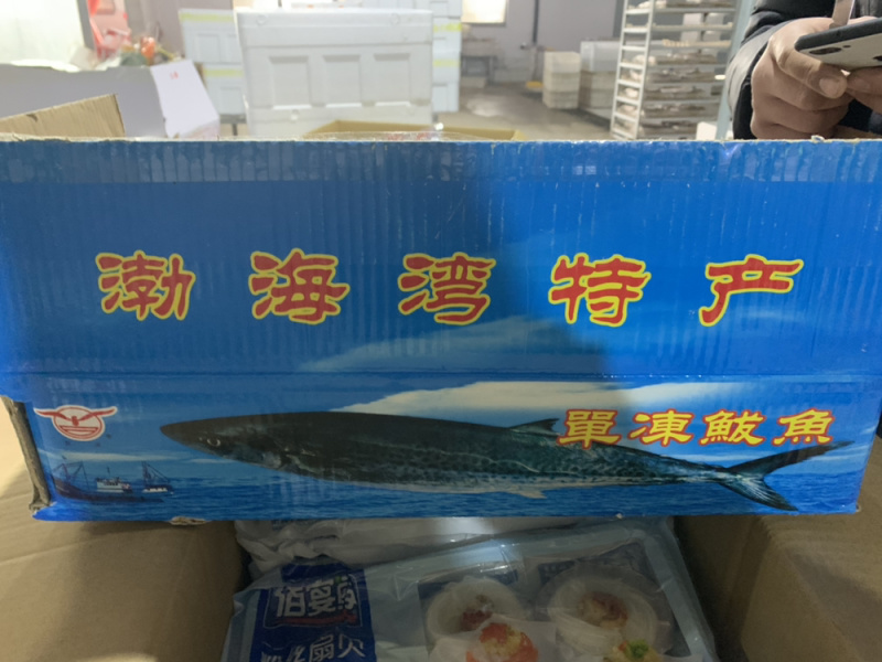 胶东鲅鱼马鲛鱼燕鲅全国比质量来吧