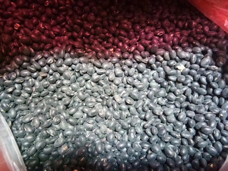 农家腐竹（黄豆腐竹黑豆腐竹）