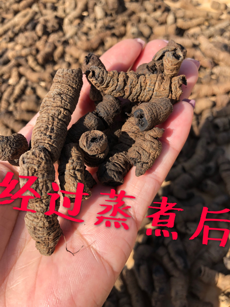 抽心老巴戟干货，经九蒸九晒制天然无添加剂
