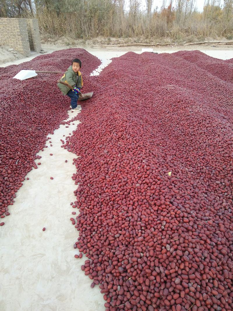 若羌枣农自产自销优质吊干灰枣，通货，原生态，干度好。