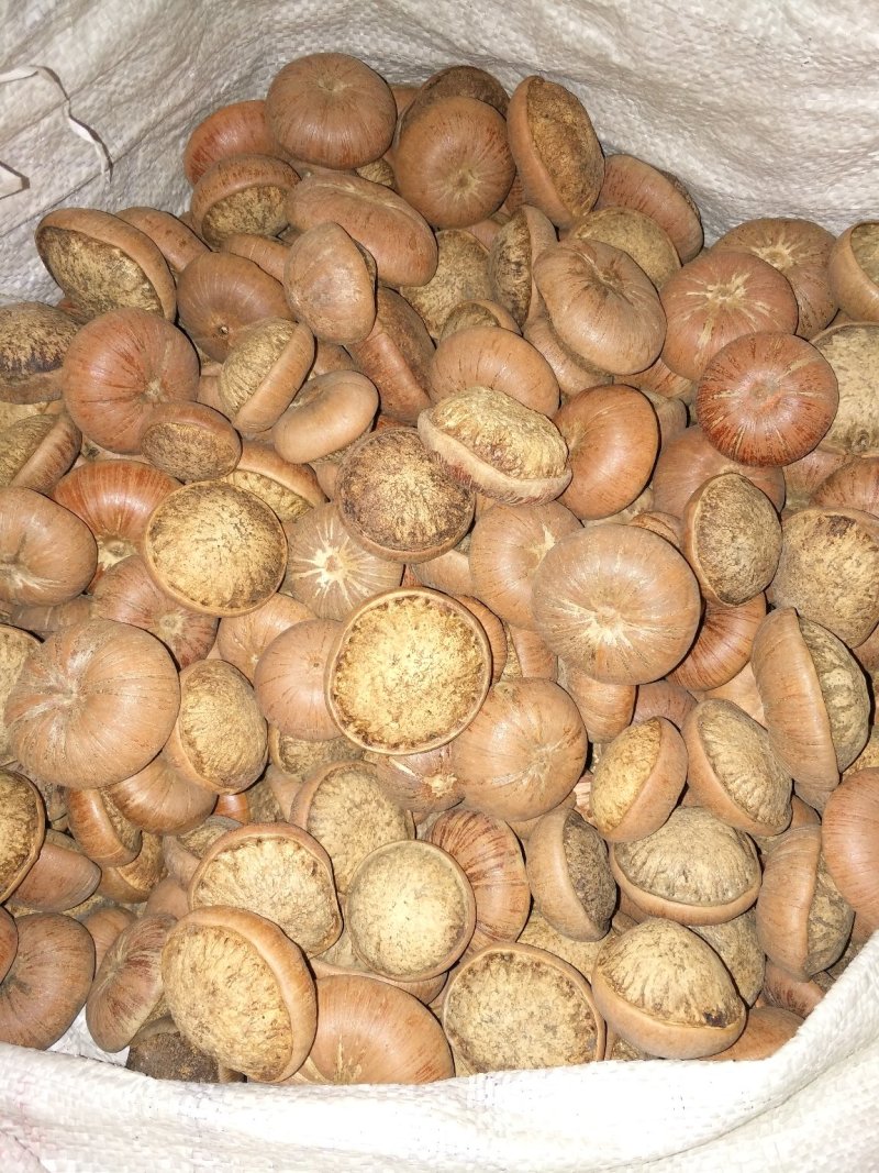 风流果野生风流果大货精挑细选