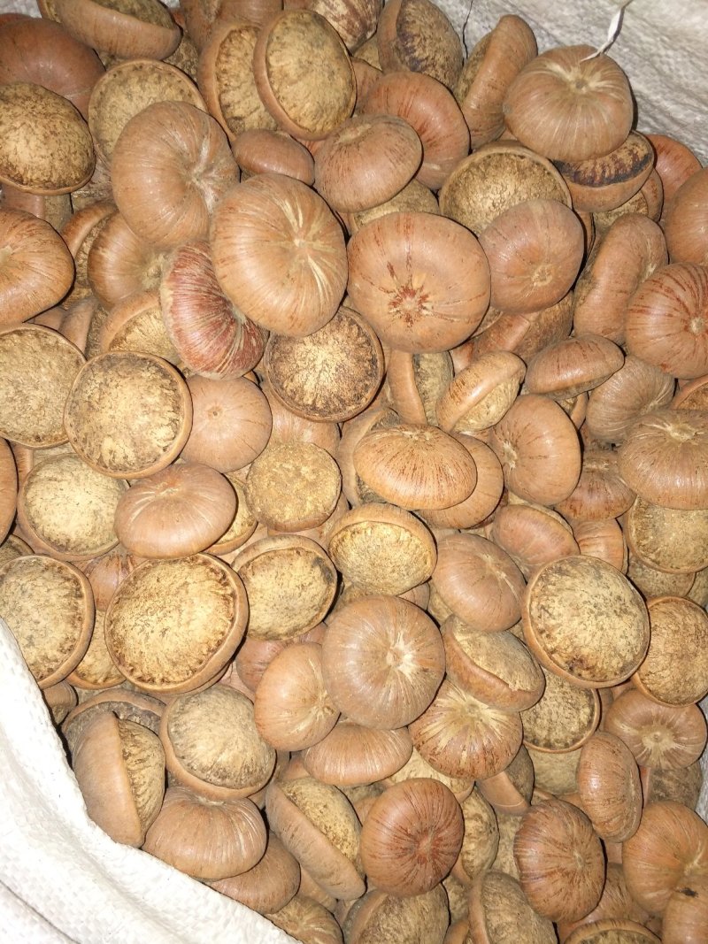 风流果野生风流果大货精挑细选
