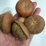 风流果野生风流果大货精挑细选