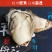 高品质生蚝鲜活新鲜生蚝即食乳山牡蛎批发带壳大海蛎子