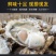 高品质生蚝鲜活新鲜生蚝即食乳山牡蛎批发带壳大海蛎子