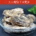 高品质生蚝鲜活新鲜生蚝即食乳山牡蛎批发带壳大海蛎子