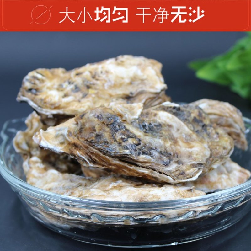 高品质生蚝鲜活新鲜生蚝即食乳山牡蛎批发带壳大海蛎子