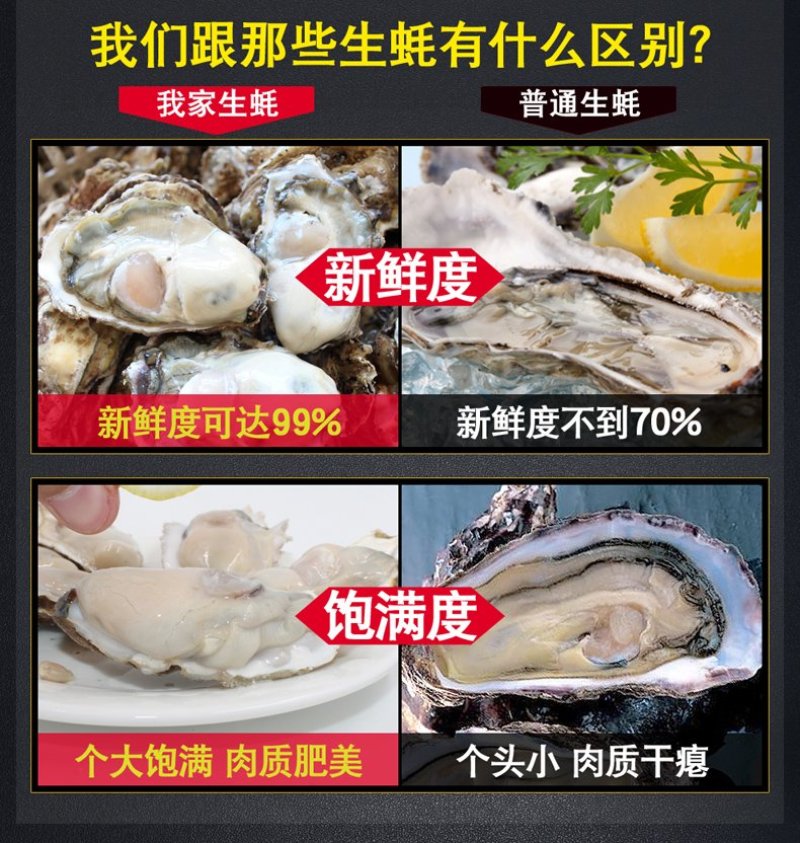高品质生蚝鲜活新鲜生蚝即食乳山牡蛎批发带壳大海蛎子