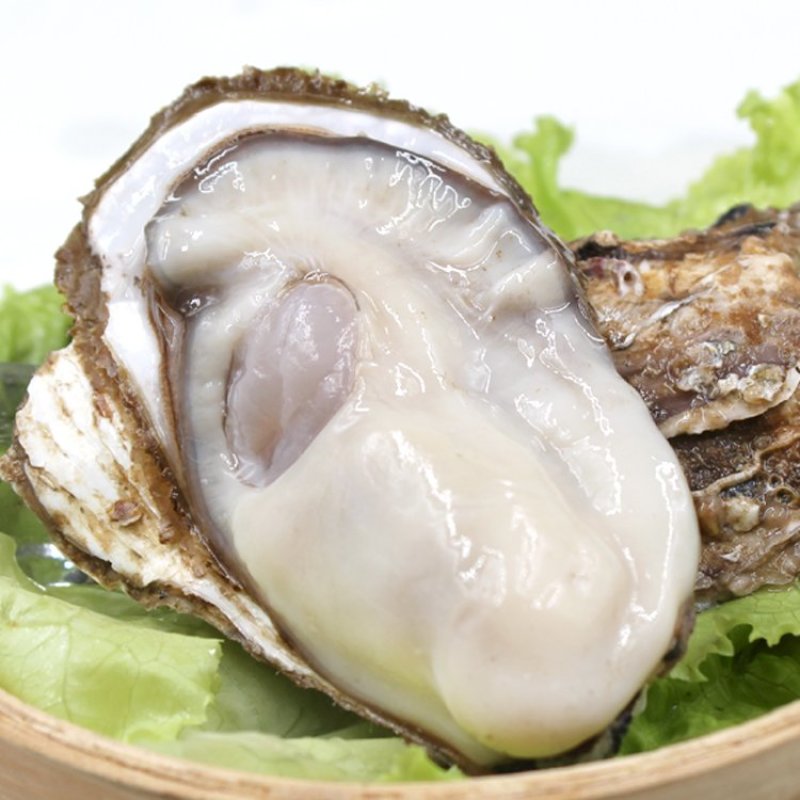 高品质生蚝鲜活新鲜生蚝即食乳山牡蛎批发带壳大海蛎子