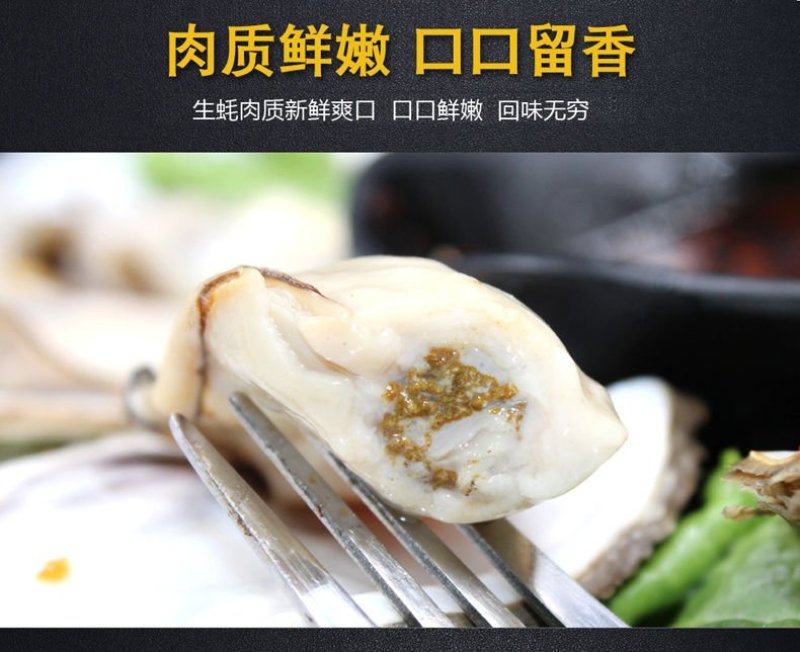 高品质生蚝鲜活新鲜生蚝即食乳山牡蛎批发带壳大海蛎子
