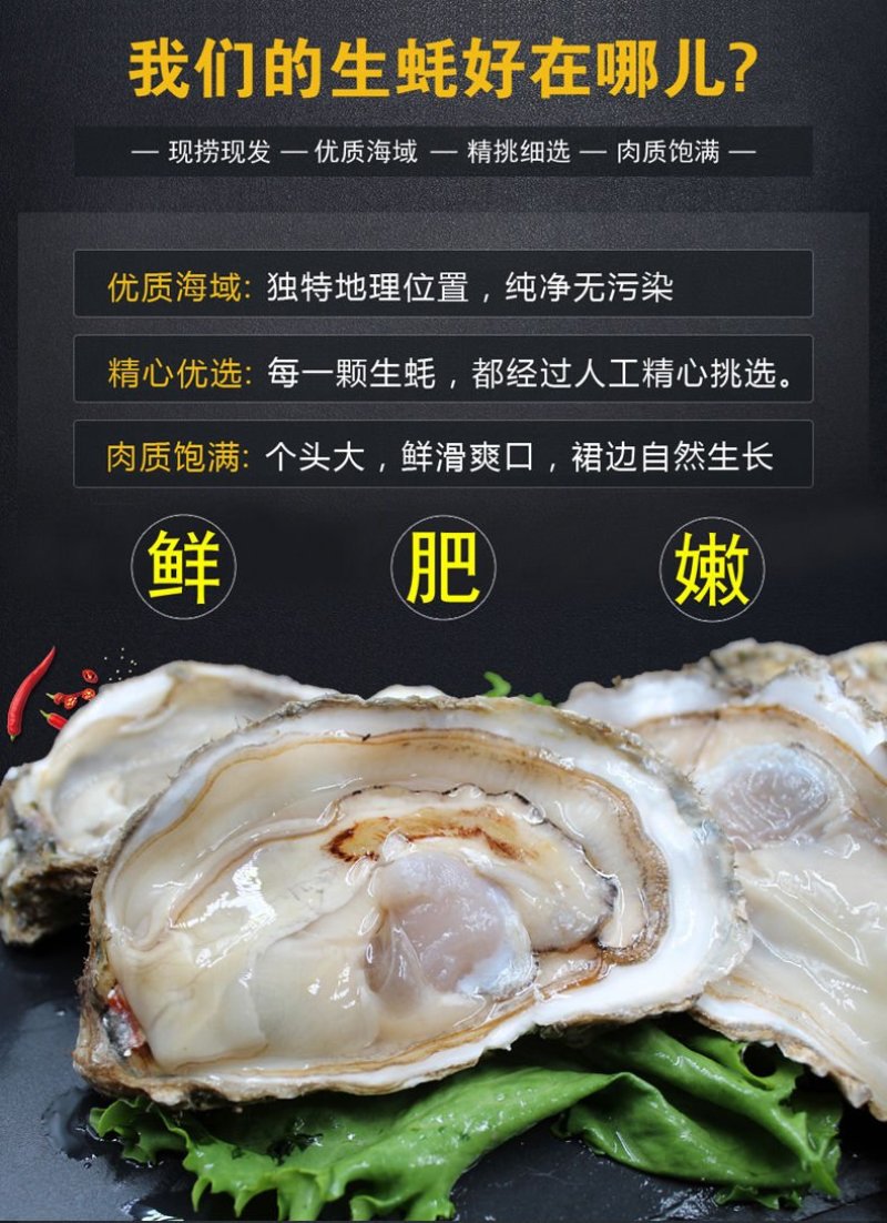 高品质生蚝鲜活新鲜生蚝即食乳山牡蛎批发带壳大海蛎子