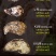 高品质生蚝鲜活新鲜生蚝即食乳山牡蛎批发带壳大海蛎子