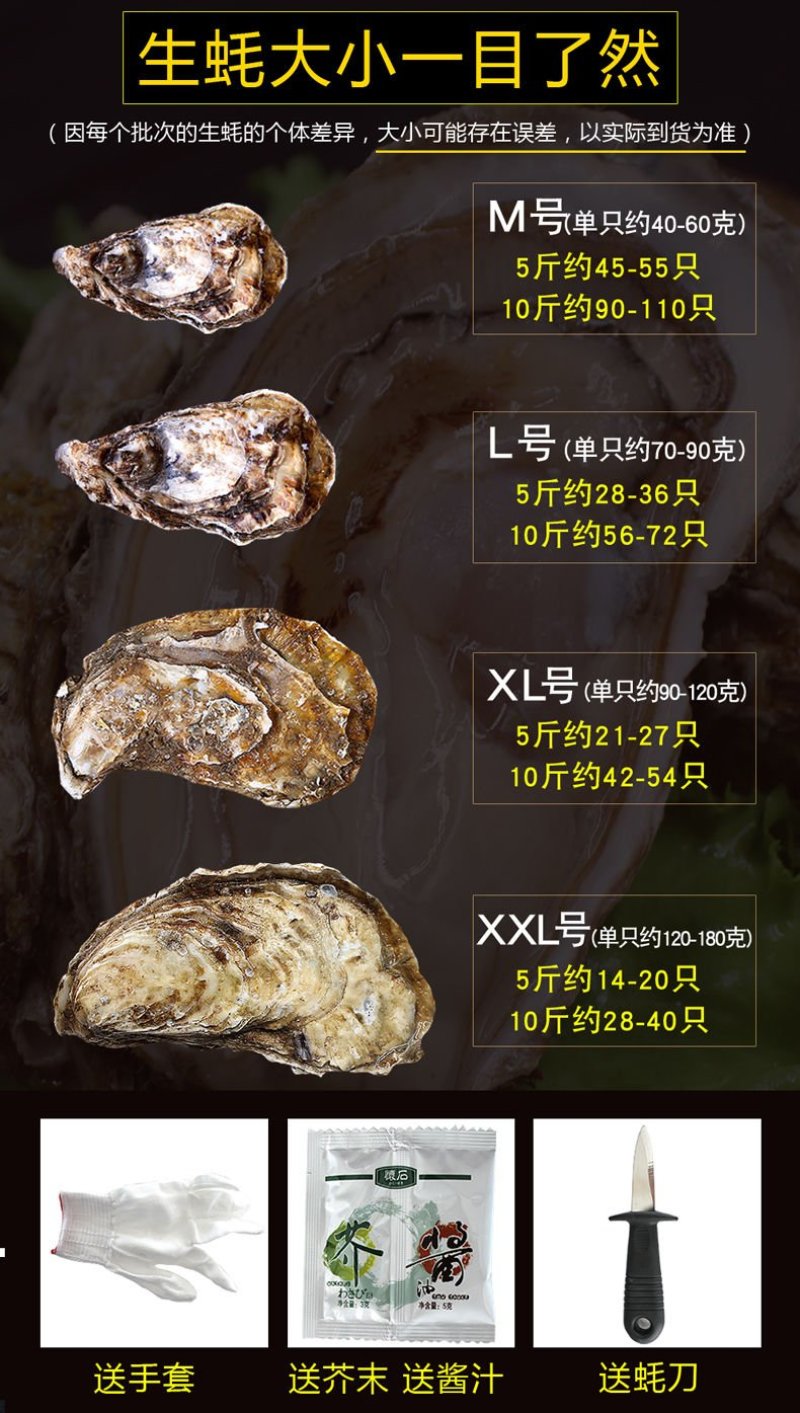高品质生蚝鲜活新鲜生蚝即食乳山牡蛎批发带壳大海蛎子