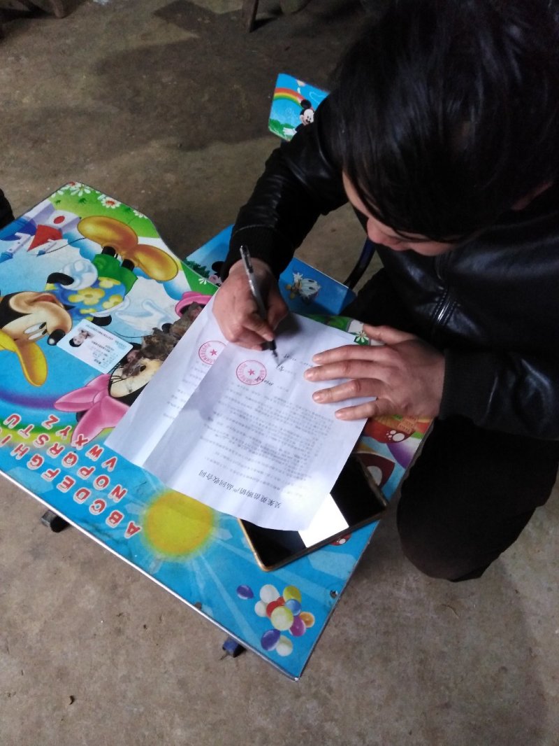 感谢帅哥老板的信任，今又走一车小量苗