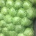 甘蓝8398，精品暖棚菜，质量好，价格低