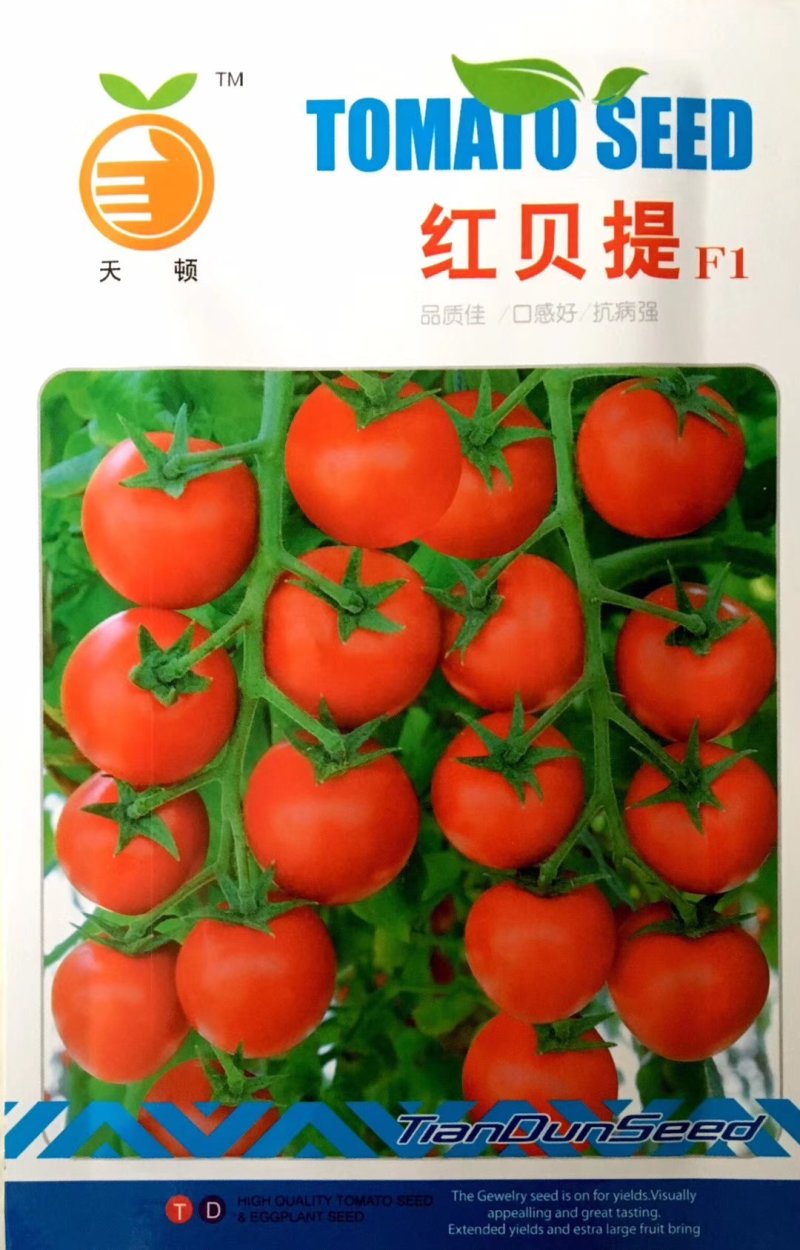 圣女果种子，千禧果，粉娜198番茄种子，小皇后大田专
