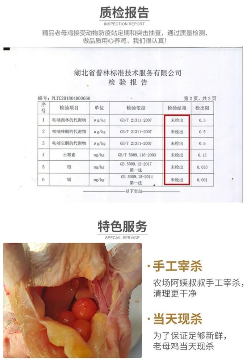 包邮发2只两年土老母鸡炖煲鸡汤农家散养带鸡蛋