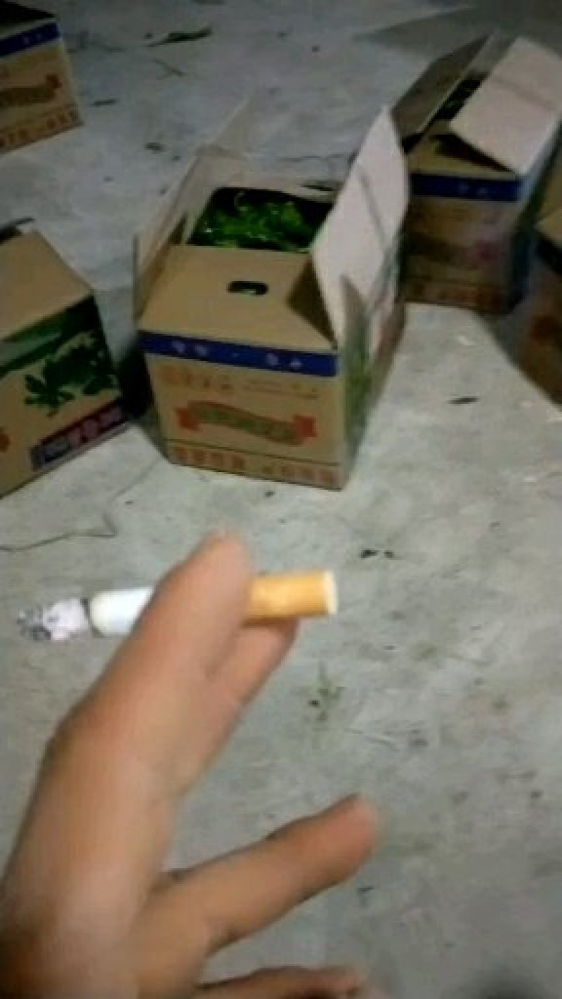 海南临高螺丝椒15~20厘米以上中辣青量大从优