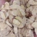 常年批发代购各种规格无硫黄芪