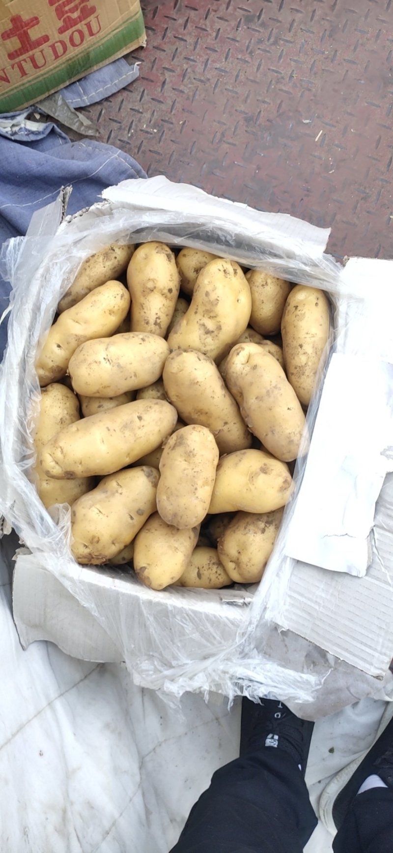 精品潍坊安丘冷库黄心土豆