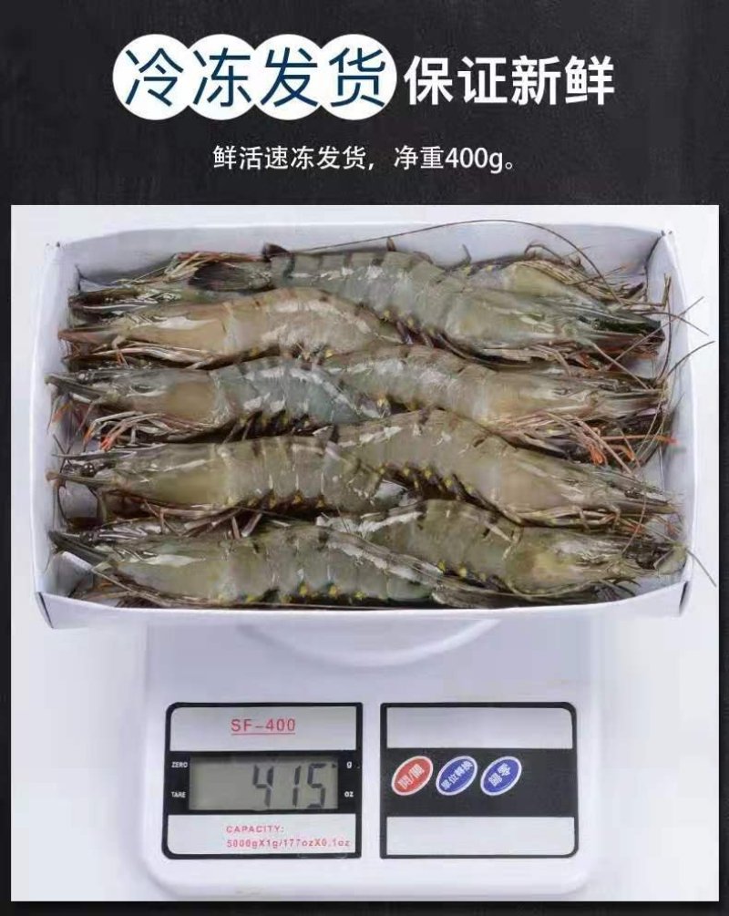 【聚便宜】新鲜海捕船冻进口黑虎虾约32只一件代发