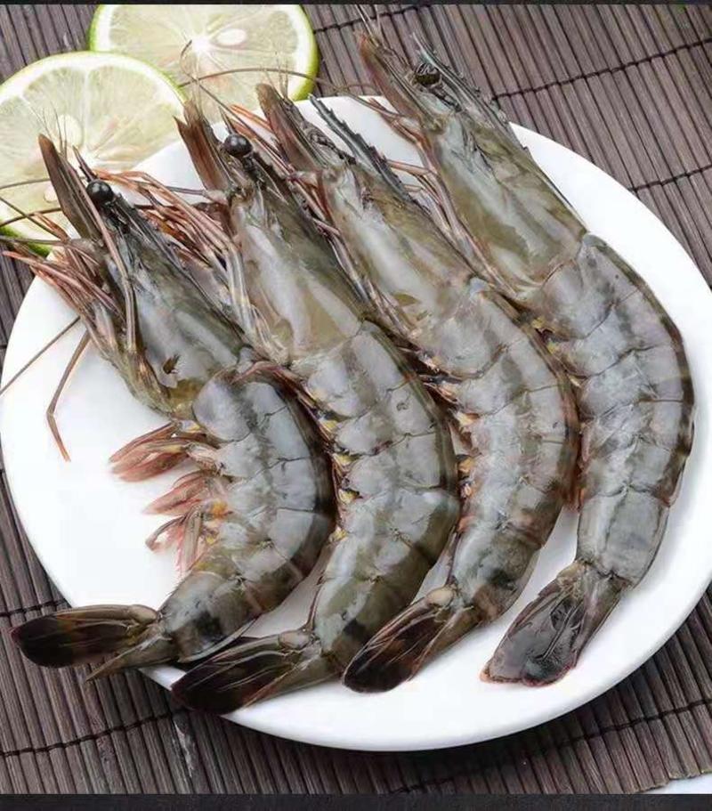【聚便宜】新鲜海捕船冻进口黑虎虾约32只一件代发