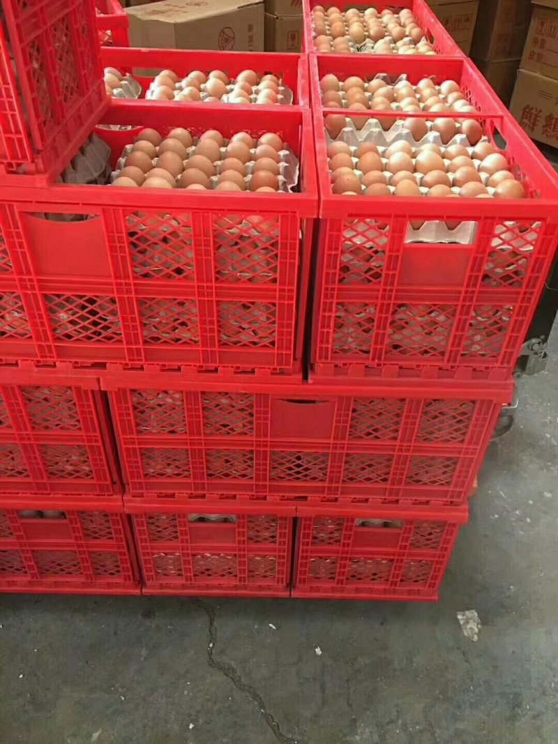 国家发明专利:360枚禽蛋折叠框