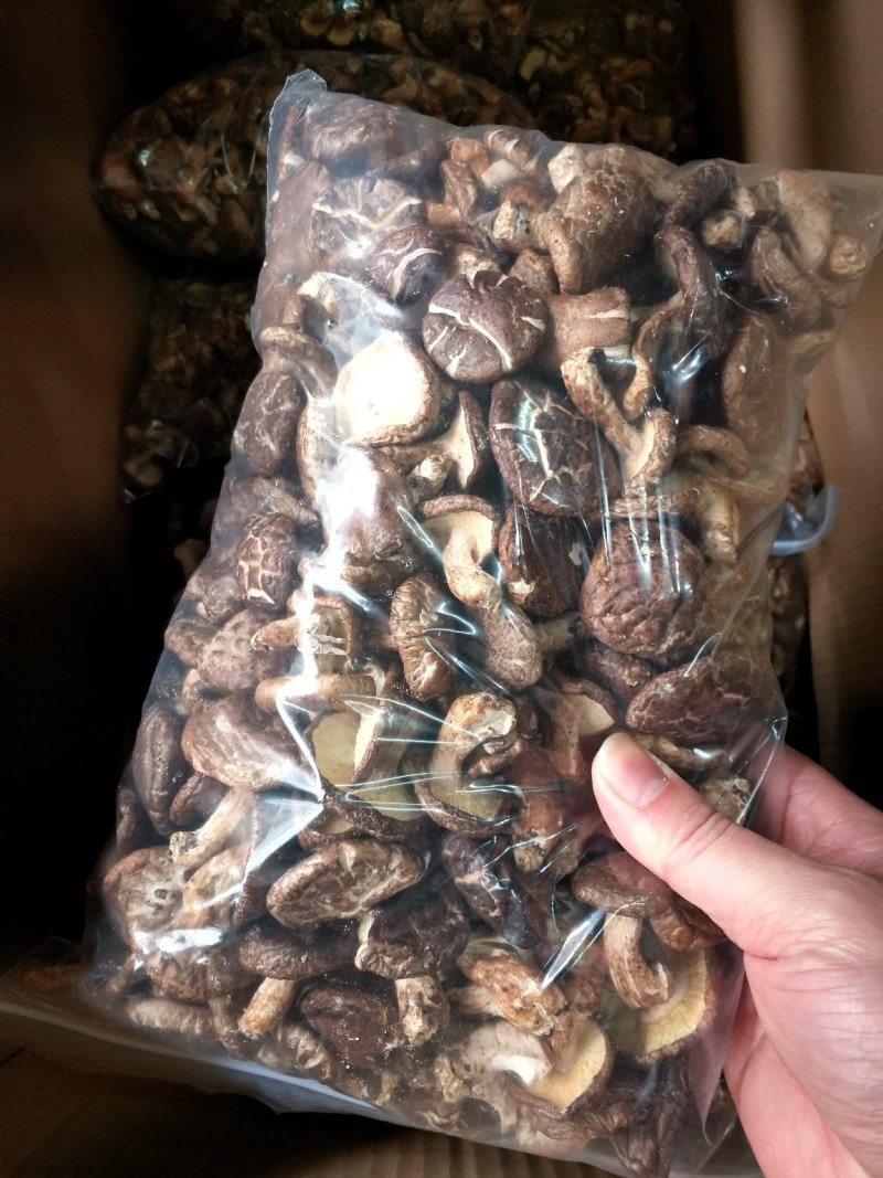 大瑶山香菇蘑菇花菇广西大瑶山香菇干货规格货