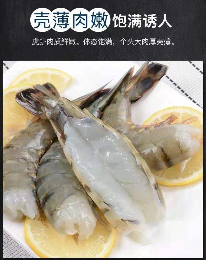 【聚便宜】新鲜海捕船冻野生黑虎虾鲜活特大约32只一件代发