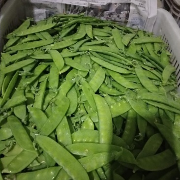 荷兰豆/夹豆