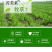 苦荬菜种子鹅草种子增进畜禽食欲进口牧草种子