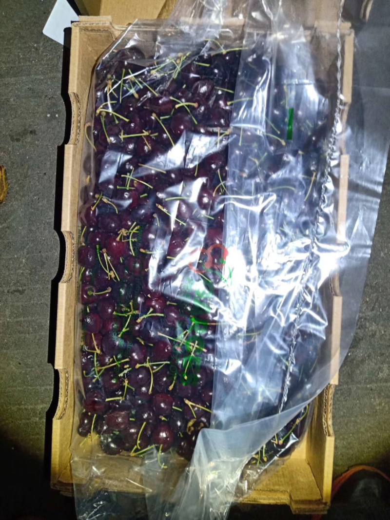 【有好货】智利海运批发车厘子，整板的欢迎对接，价格优势