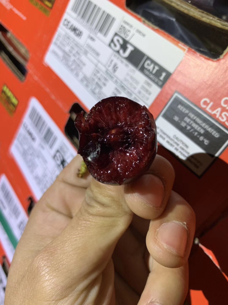 【有好货】智利海运批发车厘子，整板的欢迎对接，价格优势