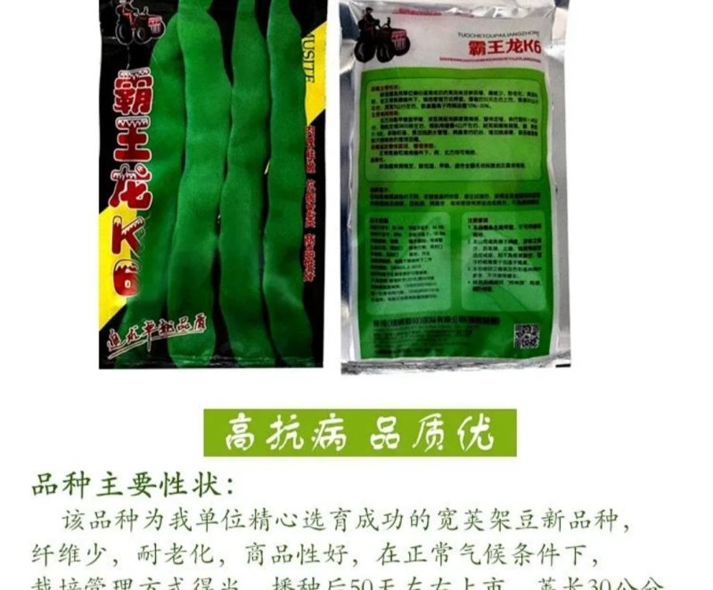 霸王龙k6四季豆种子拖车头白龙马无筋豆角种籽宽豆种